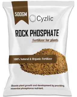 rock phosphate for plants 500gm