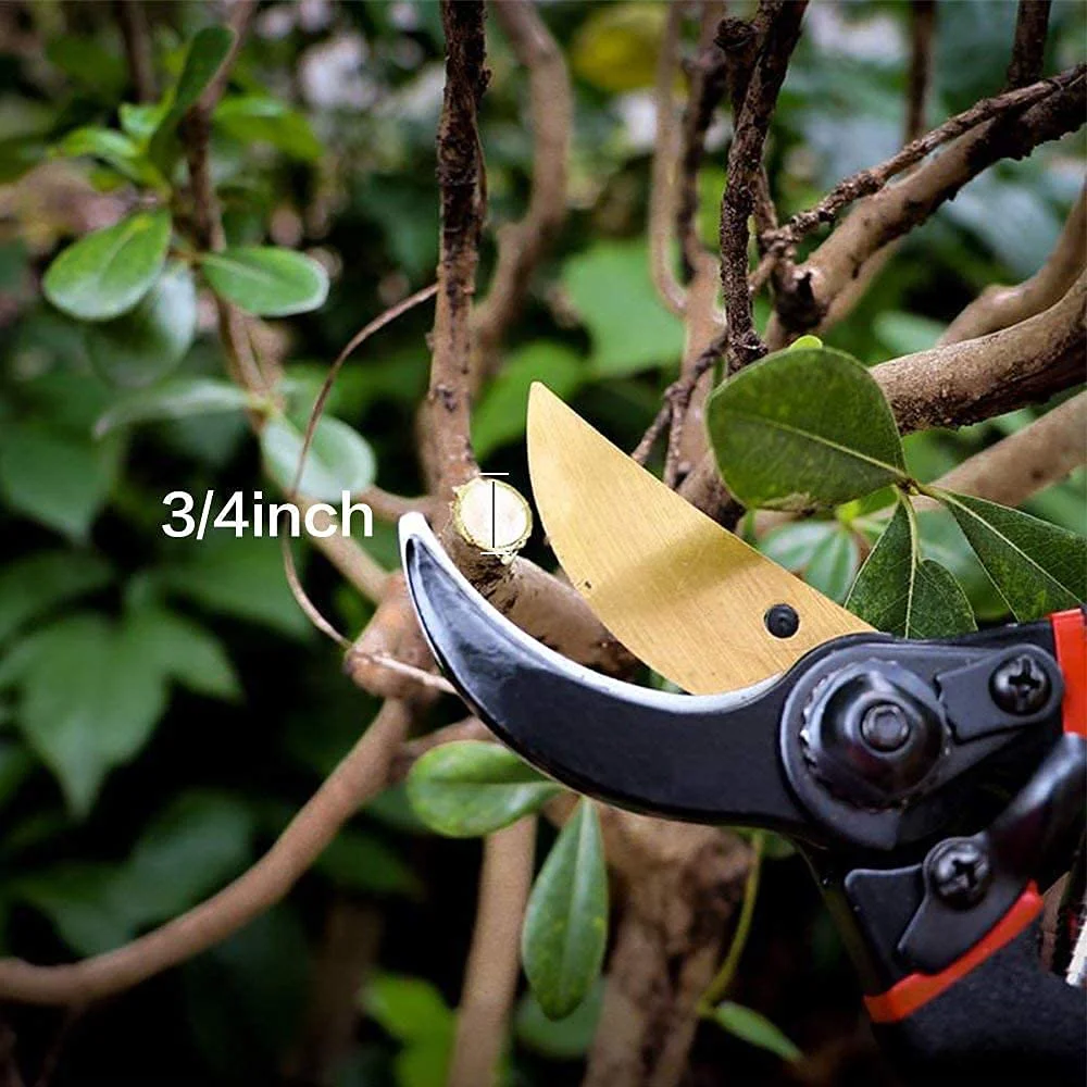 thumb2