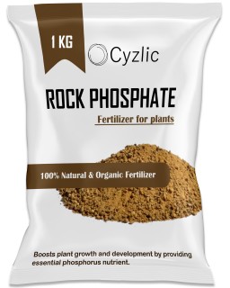 rock phosphate for plants 1kg