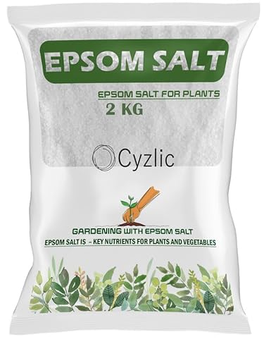 Epsom Salt for Plants 2 KG